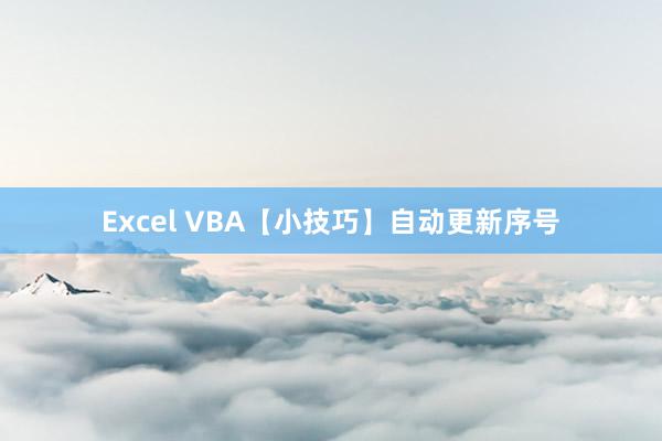 Excel VBA【小技巧】自动更新序号